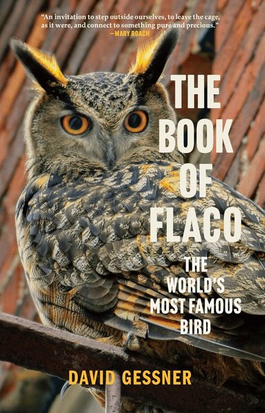 David Gessner - Book of Flaco, Häftad