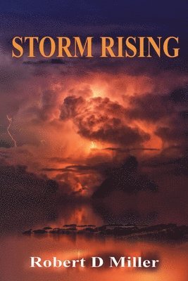 bokomslag Storm Rising