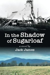 bokomslag In The Shadow of Sugarloaf