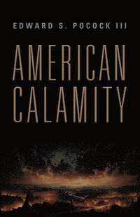 bokomslag American Calamity