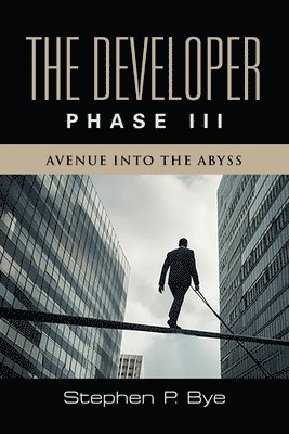 bokomslag Developer
