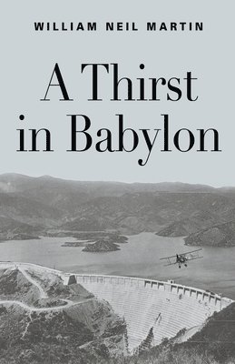 bokomslag A Thirst in Babylon