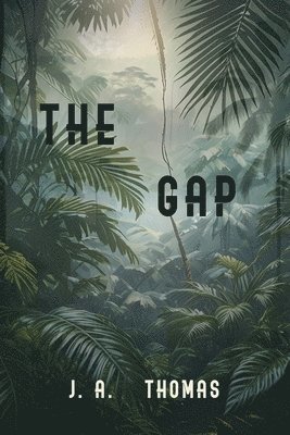 The Gap 1