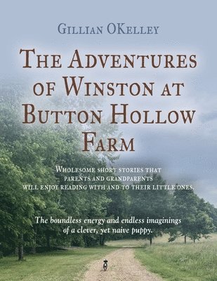 bokomslag The Adventures of Winston at Button Hollow Farm