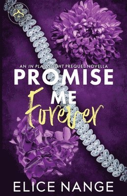 Promise Me Forever 1