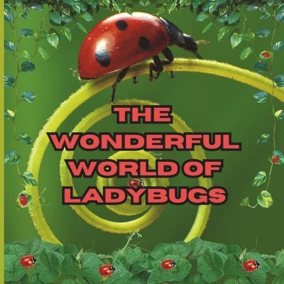 The Wonderful World of Ladybugs 1