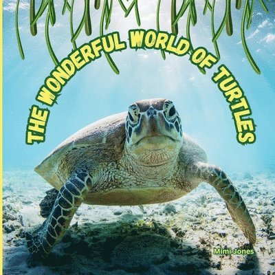 The Wonderful World of Turtles 1