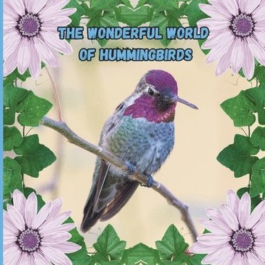 bokomslag Wonderful World of Hummingbirds