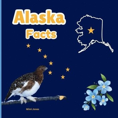 bokomslag Alaska Facts