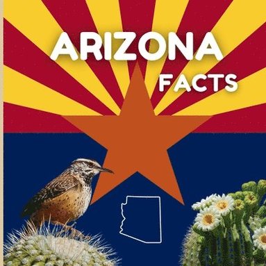 bokomslag Arizona Facts