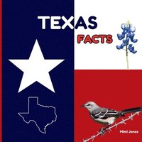 bokomslag Texas Facts