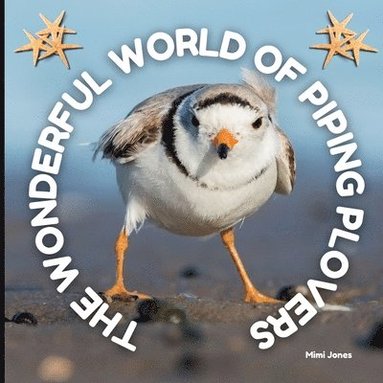 bokomslag The Wonderful World of Piping Plovers