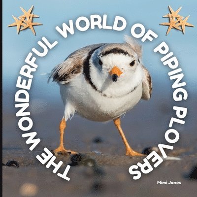 The Wonderful World of Piping Plovers 1