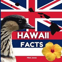 bokomslag Hawaii Facts