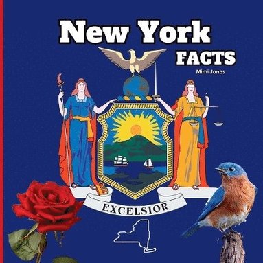 bokomslag New York Facts