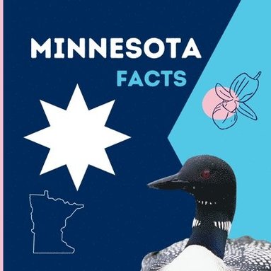 bokomslag Minnesota Facts