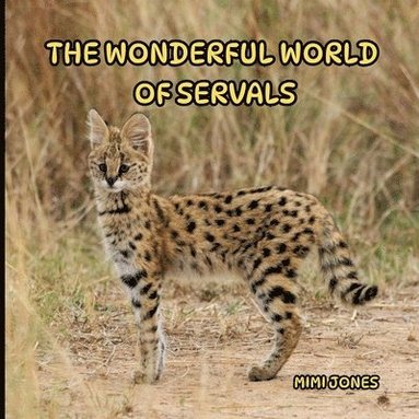 bokomslag Wonderful World of Servals