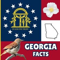 bokomslag Georgia Facts