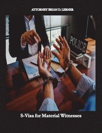 bokomslag S-Visa for Material Witnesses