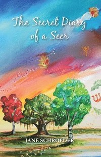 bokomslag Secret Diary Of A Seer
