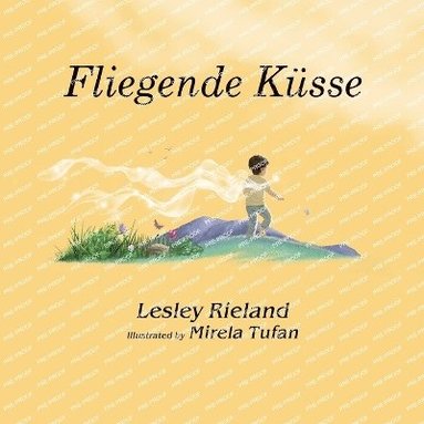 bokomslag Fliegende Ksse