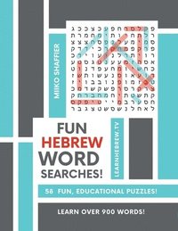 bokomslag Fun Hebrew Word Searches