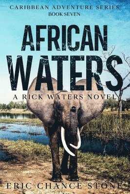 bokomslag African Waters