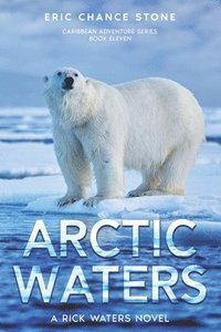 bokomslag Arctic Waters