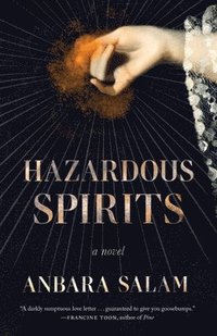 bokomslag Hazardous Spirits