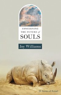 bokomslag Concerning the Future of Souls