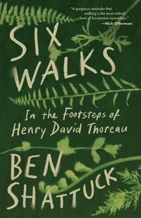 bokomslag Six Walks