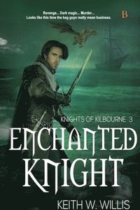 bokomslag Enchanted Knight