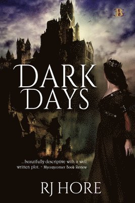 bokomslag Dark Days