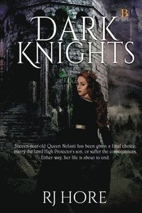 bokomslag Dark Knights