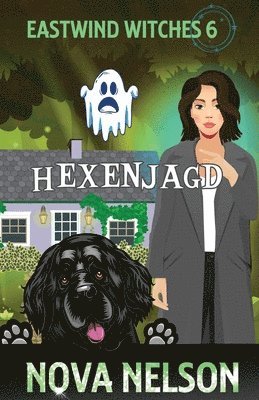 bokomslag Hexenjagd