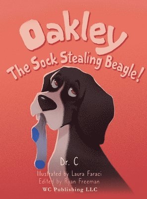 Oakley the Sock Stealing Beagle! 1