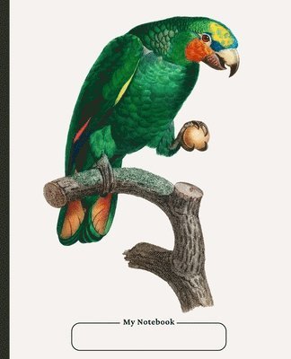 School Days Publishing - Cornell Notebook, Narrow Ruled, with Dot Grid Note-Taking Area, 100 pages, Compact Size 7.5 x 9.25, with Table of Contents, Häftad