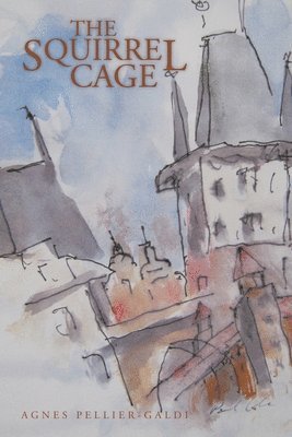 bokomslag Squirrel Cage