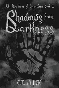 bokomslag Shadows From Darkness