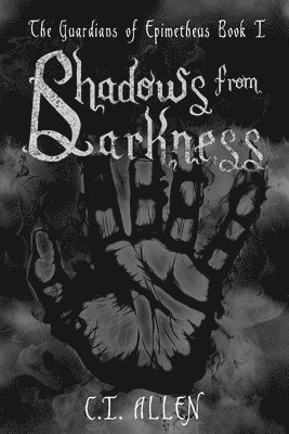 bokomslag Shadows From Darkness