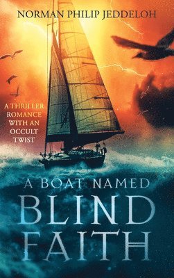 bokomslag Boat Named Blind Faith