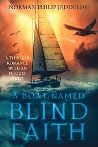 bokomslag Boat Named Blind Faith