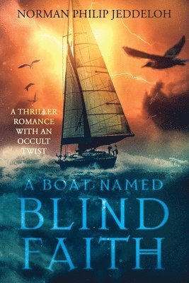 bokomslag Boat Named Blind Faith