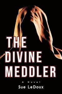 bokomslag The Divine Meddler