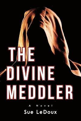 bokomslag Divine Meddler