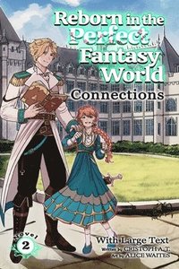 bokomslag Connections (light-novel)