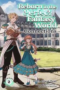 bokomslag Connections (light-novel)