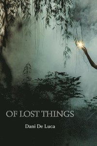bokomslag Of Lost Things