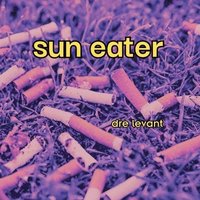 bokomslag sun eater