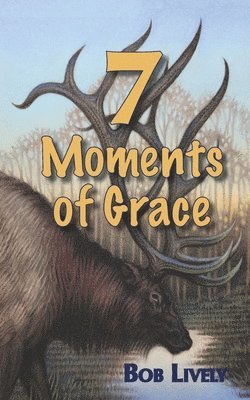 Bob Lively - 7 Moments of Grace, Häftad